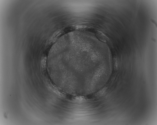 X0000100840475200807111156