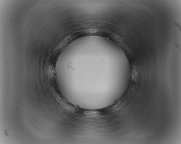 X0000100840476200807111156