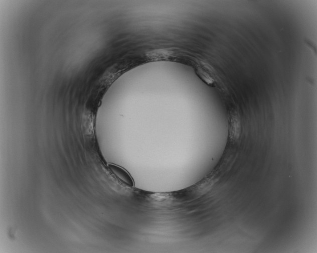 X0000100840477200807111156