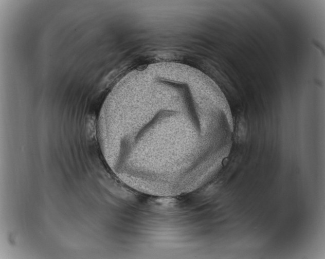 X0000100840478200807111156