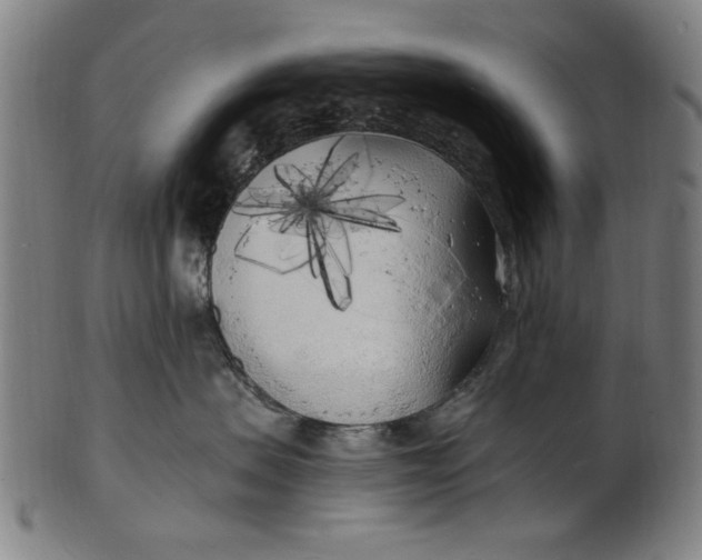 X0000100840479200807111156