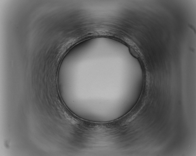 X0000100840481200807111155