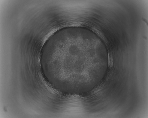 X0000100840483200807111155