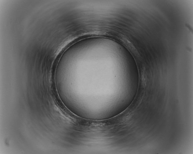 X0000100840484200807111155