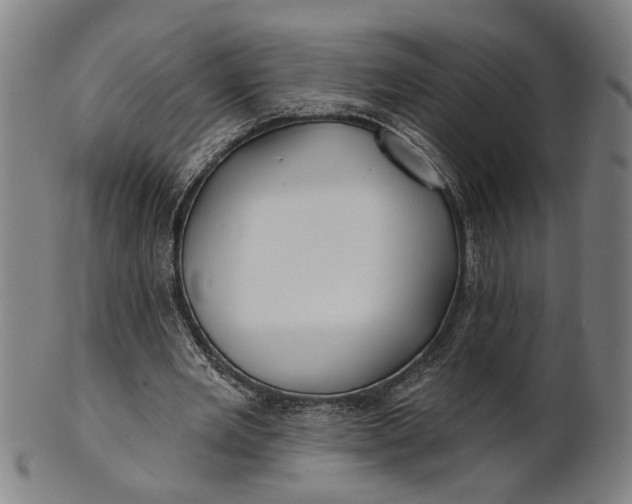 X0000100840485200807111155