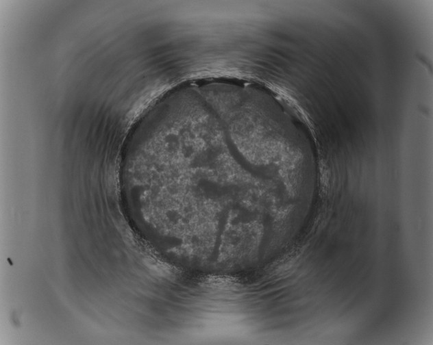 X0000100840487200807111155