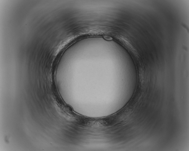 X0000100840488200807111155