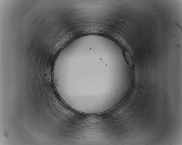 X0000100840489200807111155