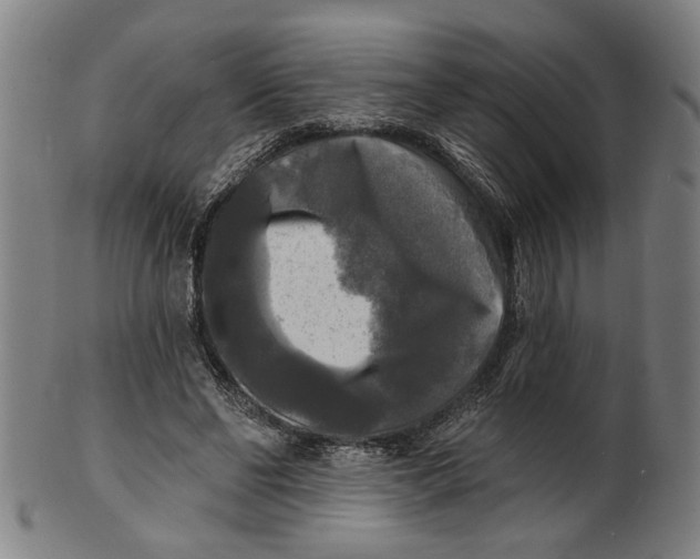 X0000100840494200807111155