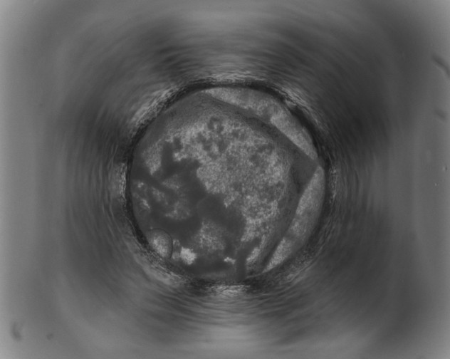 X0000100840495200807111155