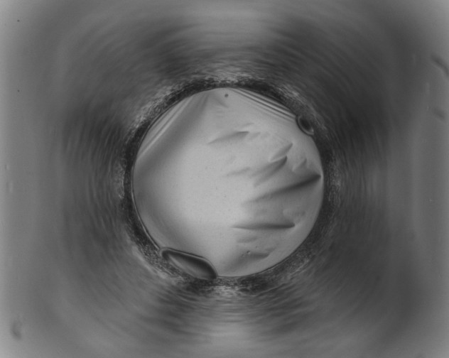 X0000100840496200807111155