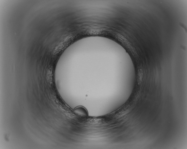 X0000100840497200807111155