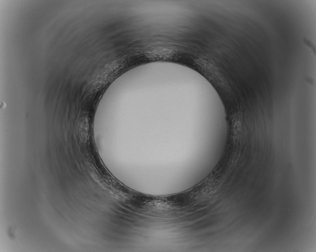 X0000100840498200807111155