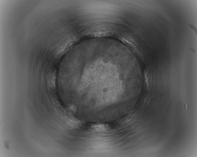 X0000100840499200807111155