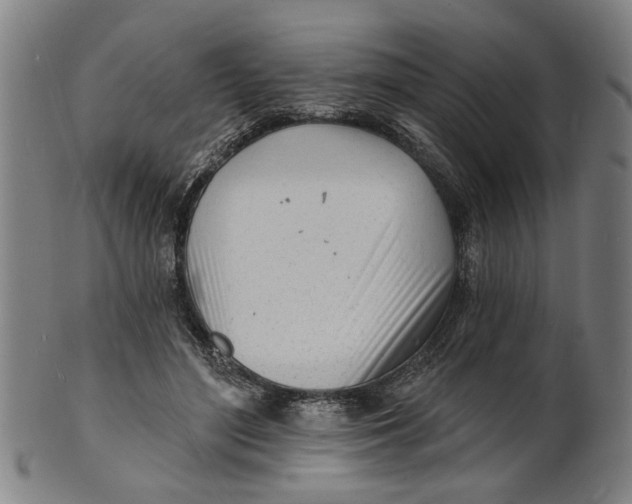 X0000100840500200807111155