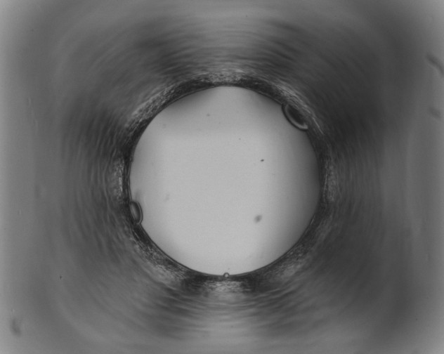 X0000100840501200807111155