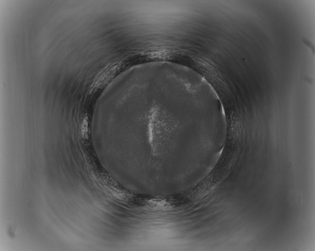 X0000100840502200807111155