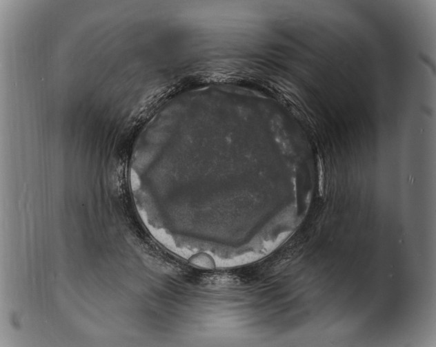 X0000100840503200807111155