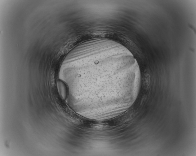 X0000100840504200807111155