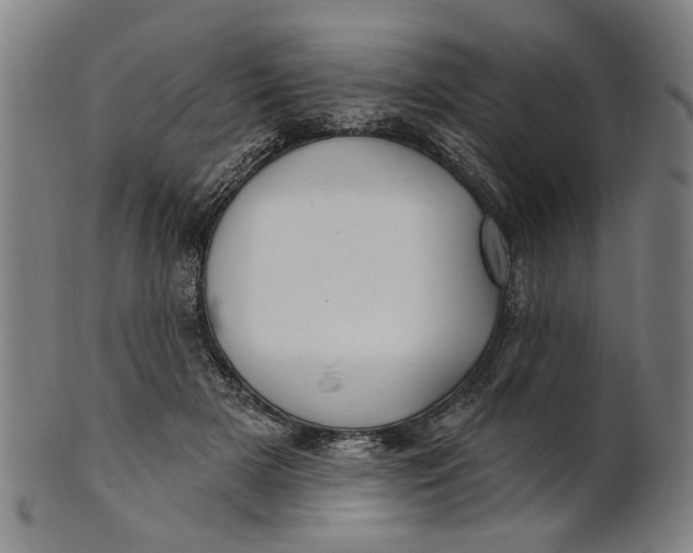 X0000100840505200807111155