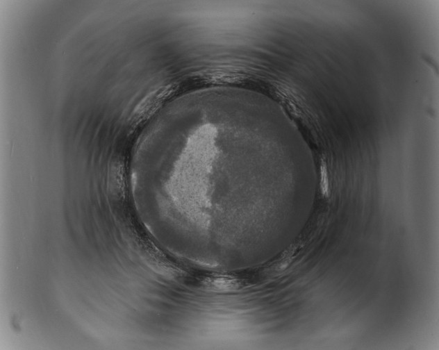 X0000100840506200807111155