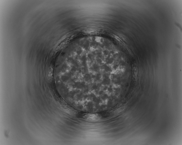 X0000100840507200807111155