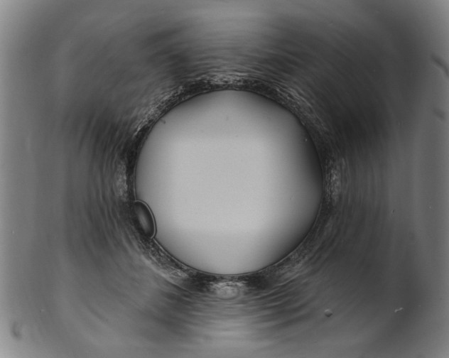 X0000100840508200807111155