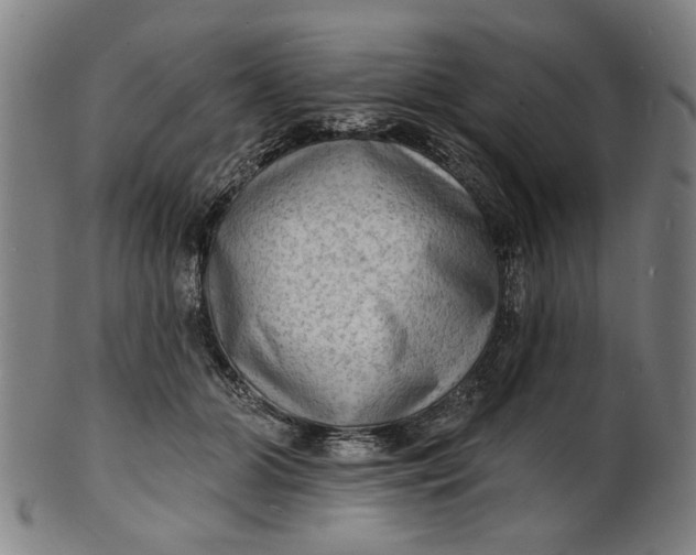 X0000100840510200807111155