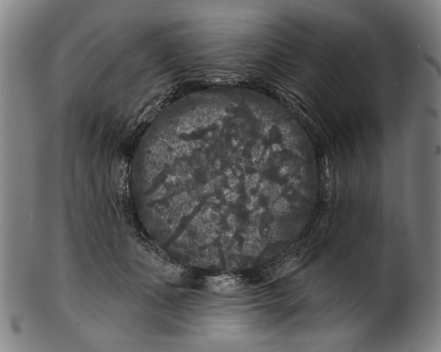 X0000100840511200807111155