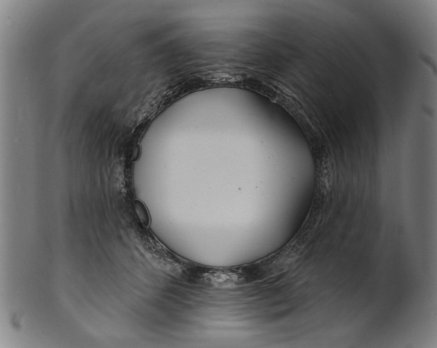 X0000100840512200807111155