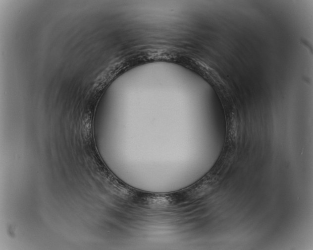 X0000100840513200807111155