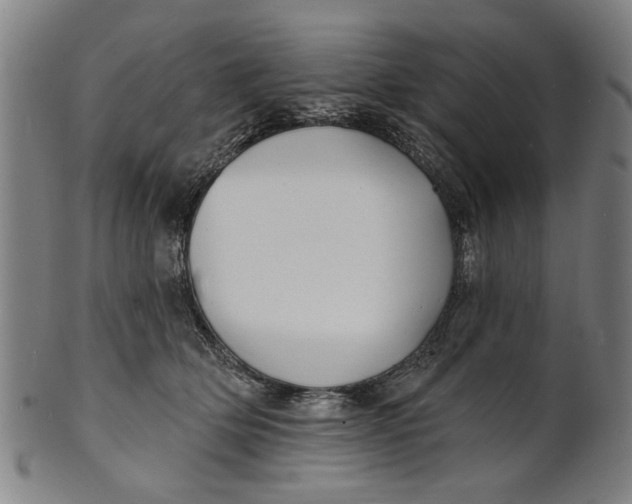 X0000100840514200807111155