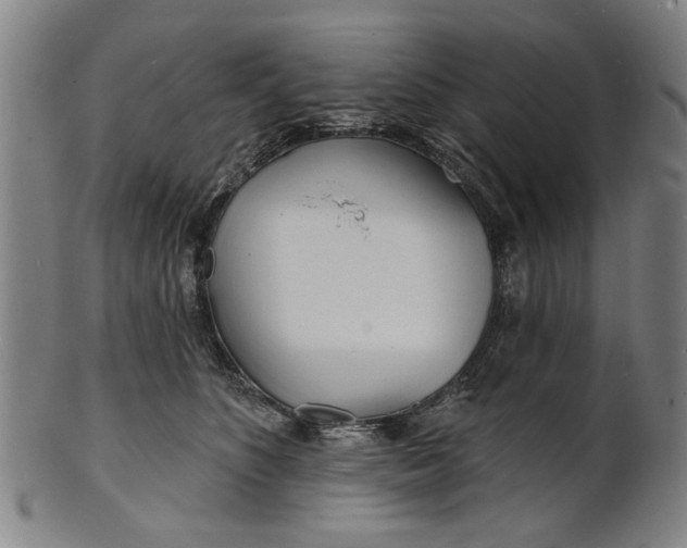 X0000100840516200807111155