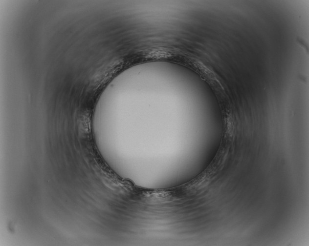 X0000100840517200807111155