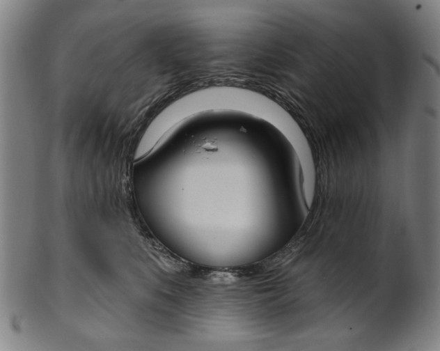 X0000100840519200807111154