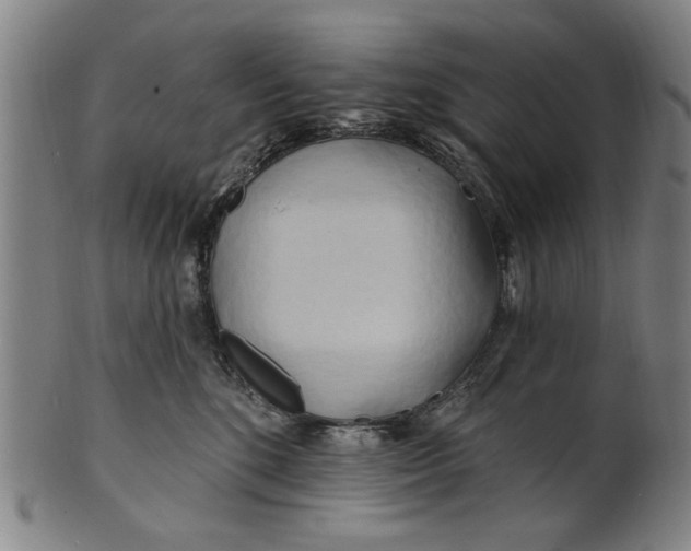 X0000100840520200807111154