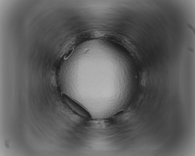 X0000100840524200807111154