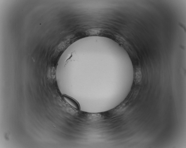 X0000100840525200807111154