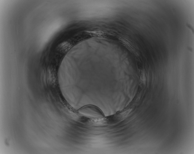 X0000100840526200807111154