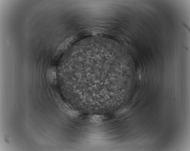 X0000100840527200807111154