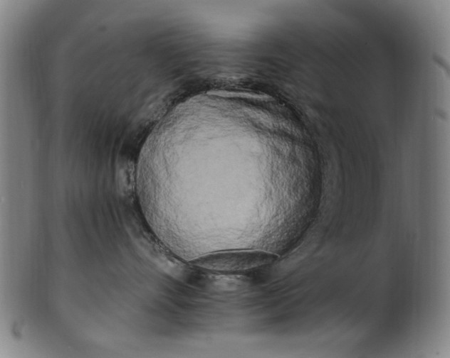 X0000100840528200807111154