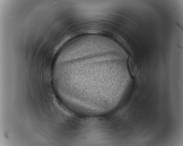 X0000100840530200807111154