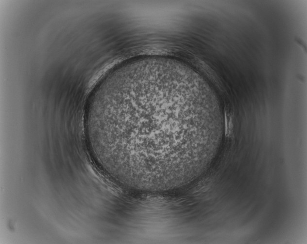 X0000100840531200807111154