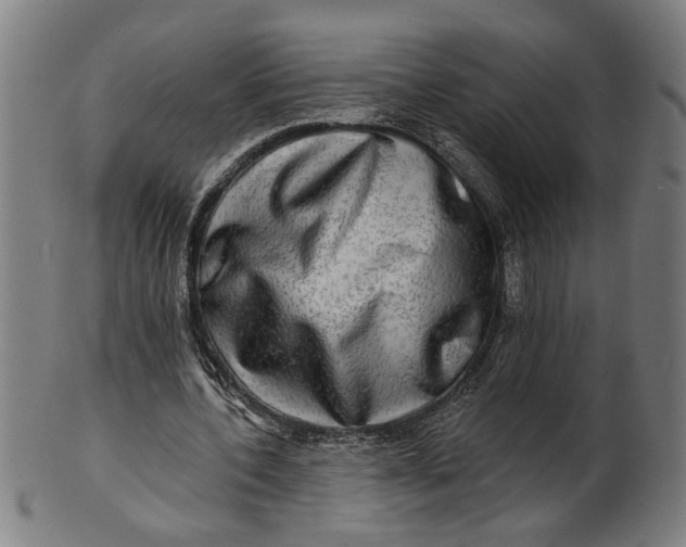 X0000100840532200807111154