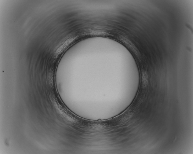 X0000100840533200807111154