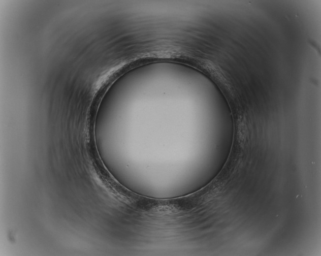 X0000100840536200807111154