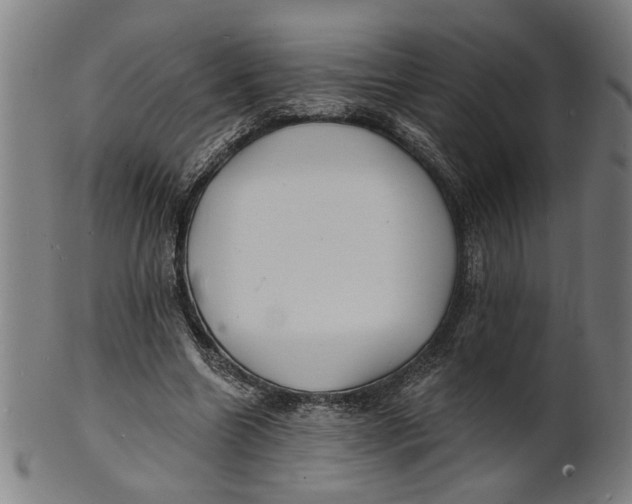 X0000100840538200807111154