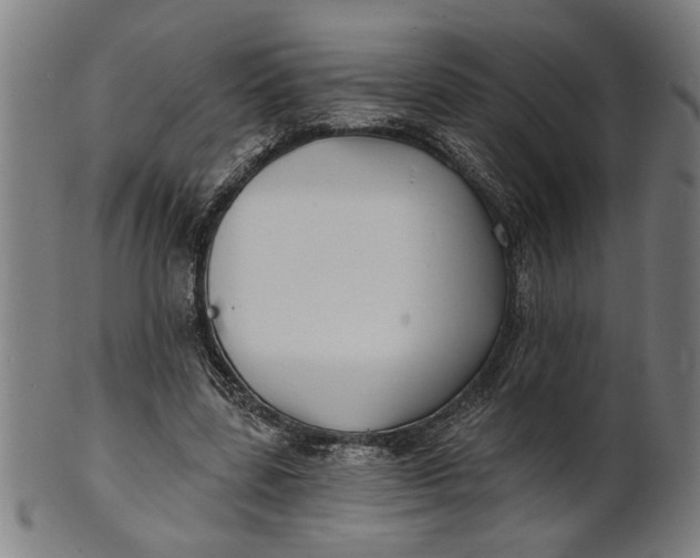 X0000100840539200807111154