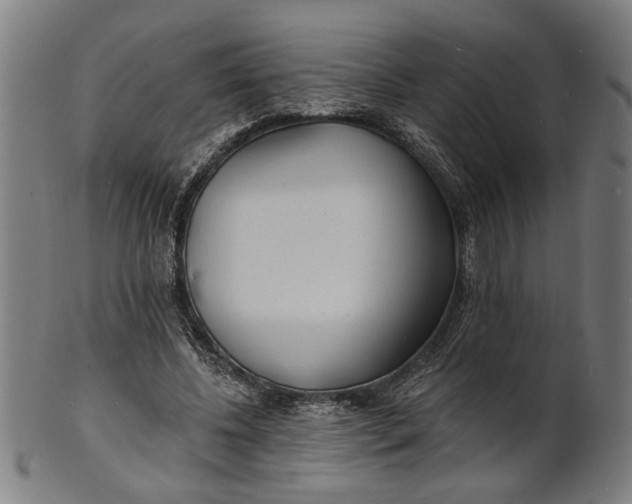 X0000100840540200807111154