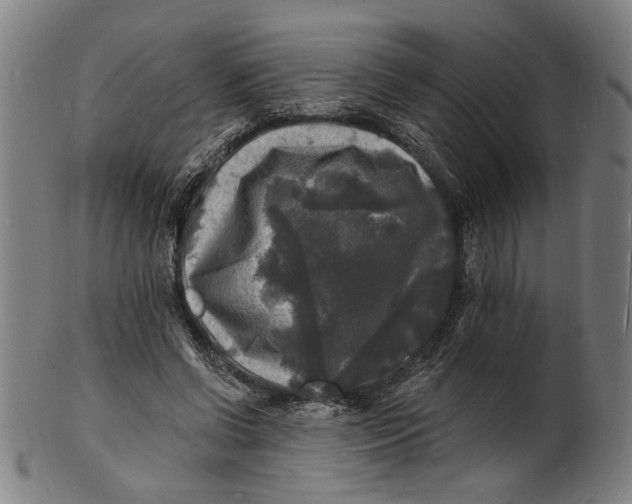 X0000100840542200807111154